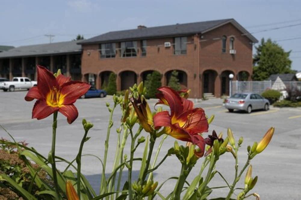 Motel Du Chevalier Gatineau Zewnętrze zdjęcie